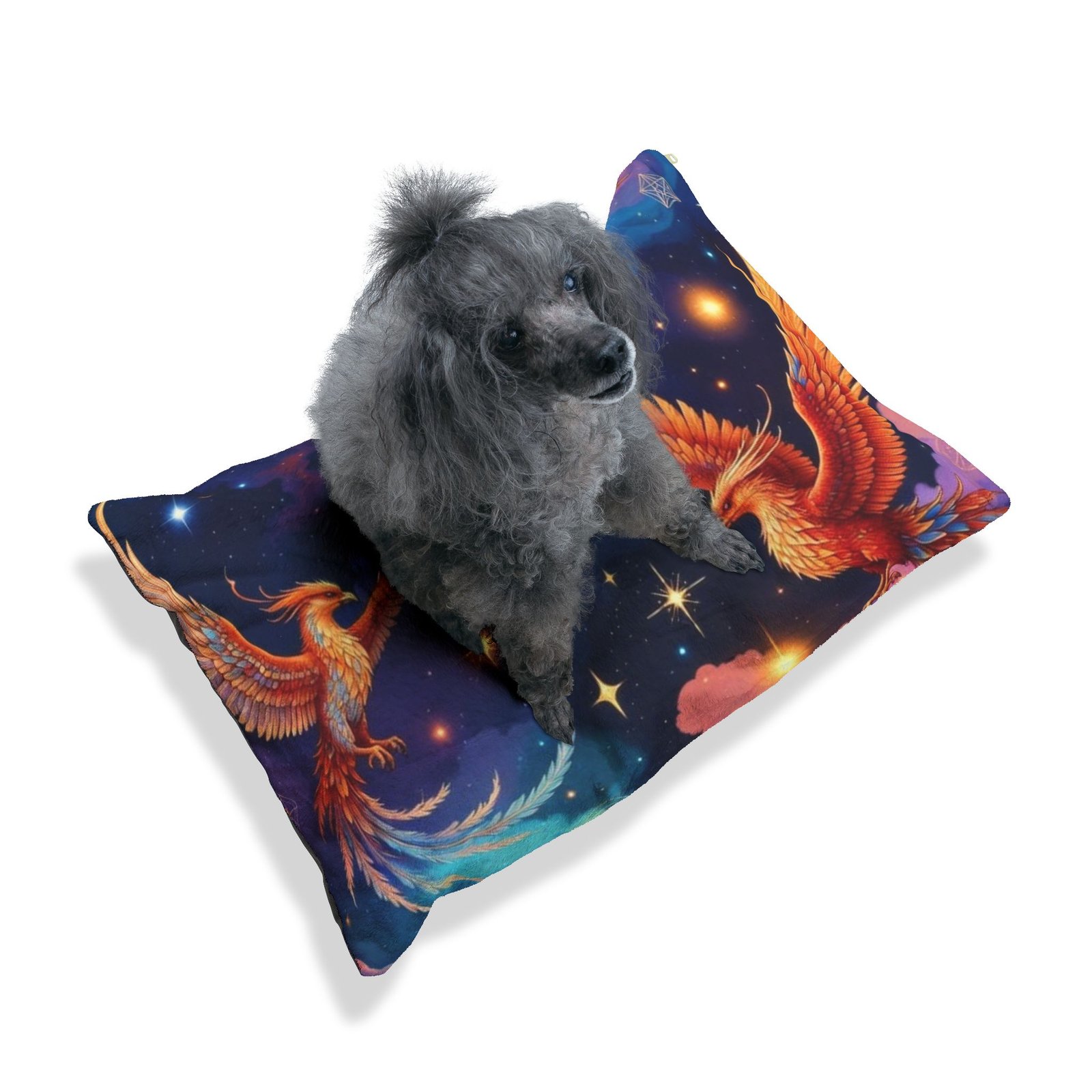 Phoenix Galaxy Pet Bed — Colorful Cosmic Dog & Cat Cushion - Image 9